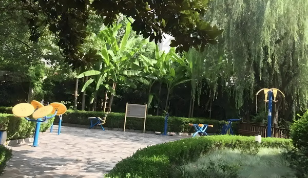 深圳户口迁入_76岁林子祥近况曝光，与小14岁娇妻恩爱27年 门也力合在通作各有关部